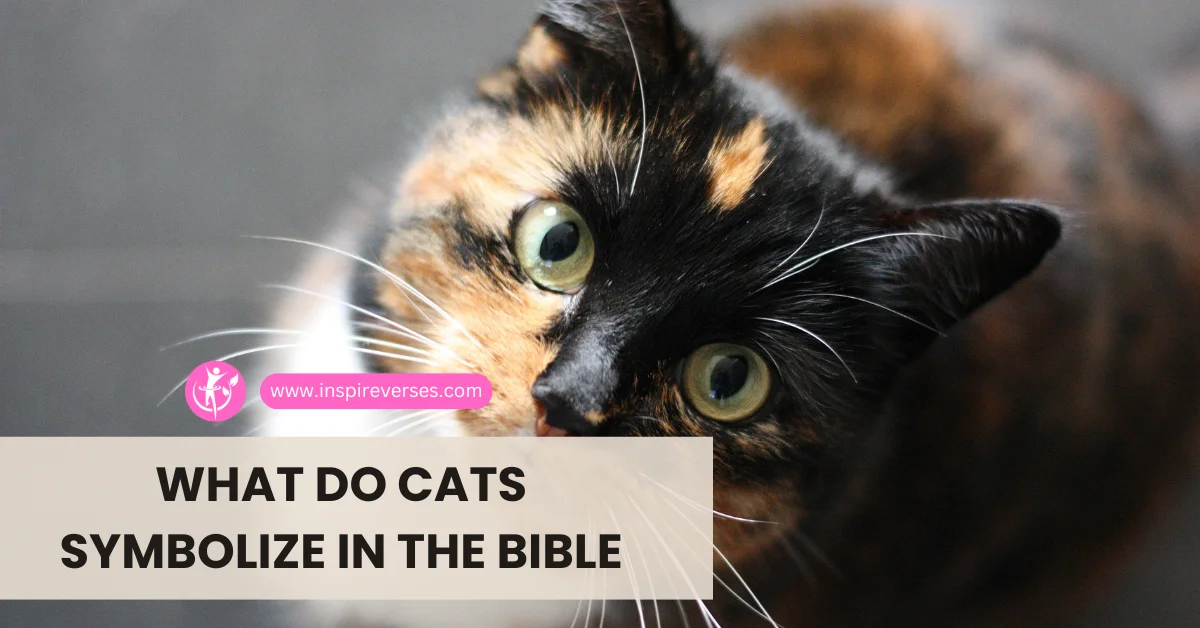 What Do Cats Symbolize In The Bible - 7 Biblical Insights