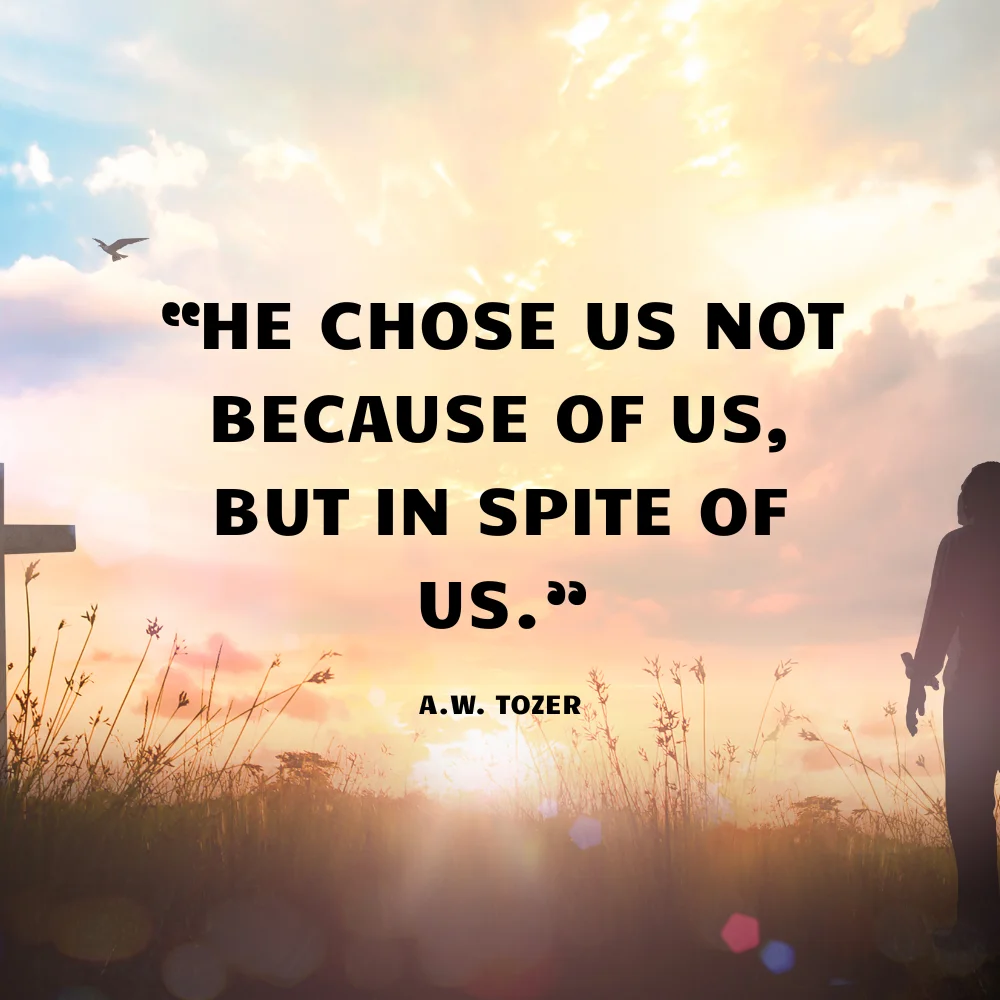 Quotes About Calvinism